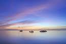 boats