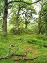 Ireland